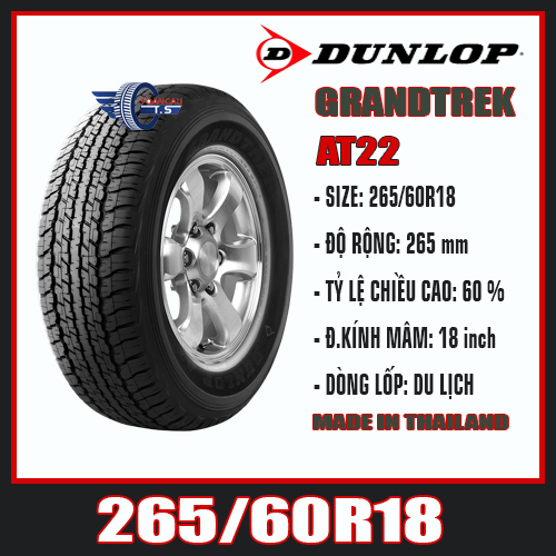  lốp xe Dunlop chính hãng